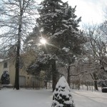 Chasing Away Winter Blues