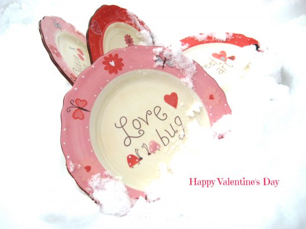 love bug plate val day