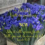 Sabbath Word… New