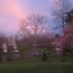 Sabbath Words…Pink Skies