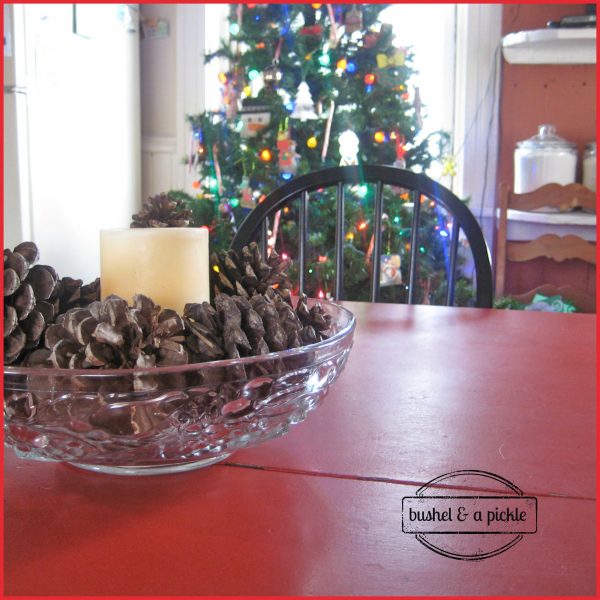 pine cones on table