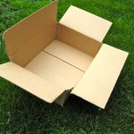 not cardboard hope