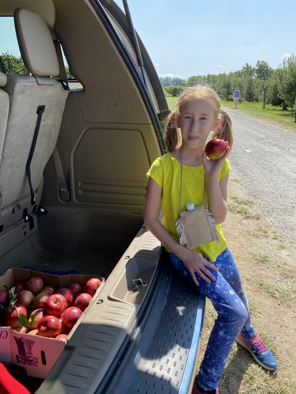 Autumn Apple Picking