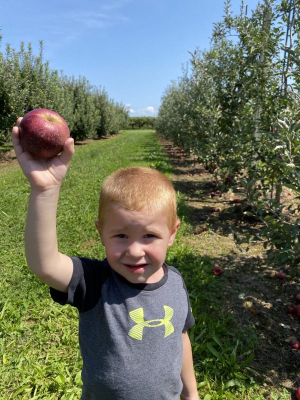 Autumn Apple Picking Cherry Hill Orchard