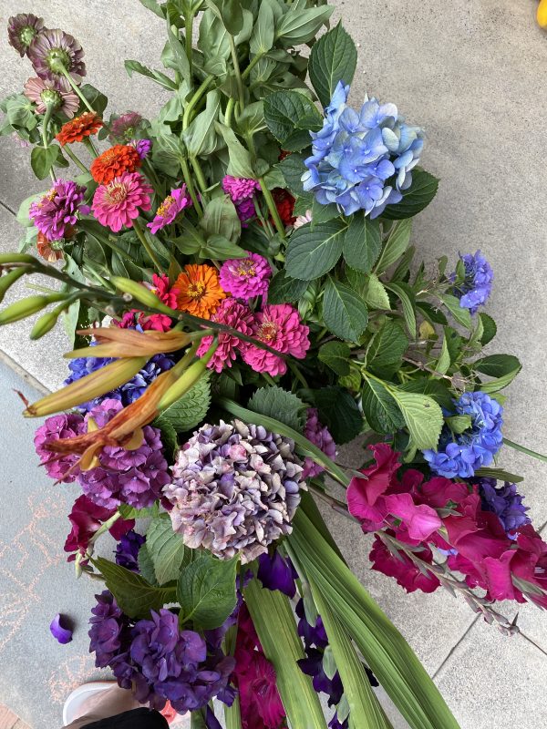  cut flowers in a bucket of water from summer gardens