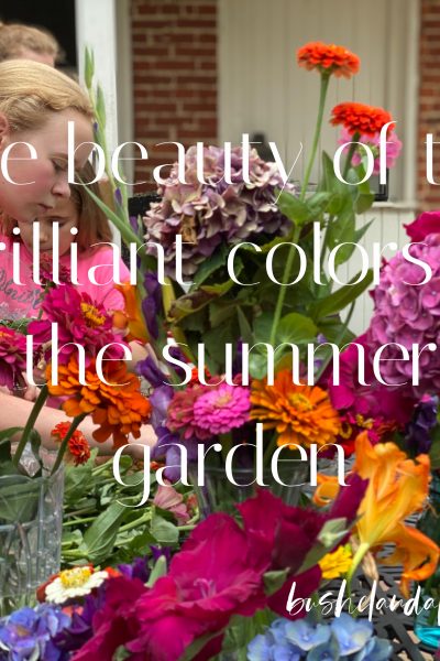 two people arranging arranging the beautiful colors of summer garden outside on the patio