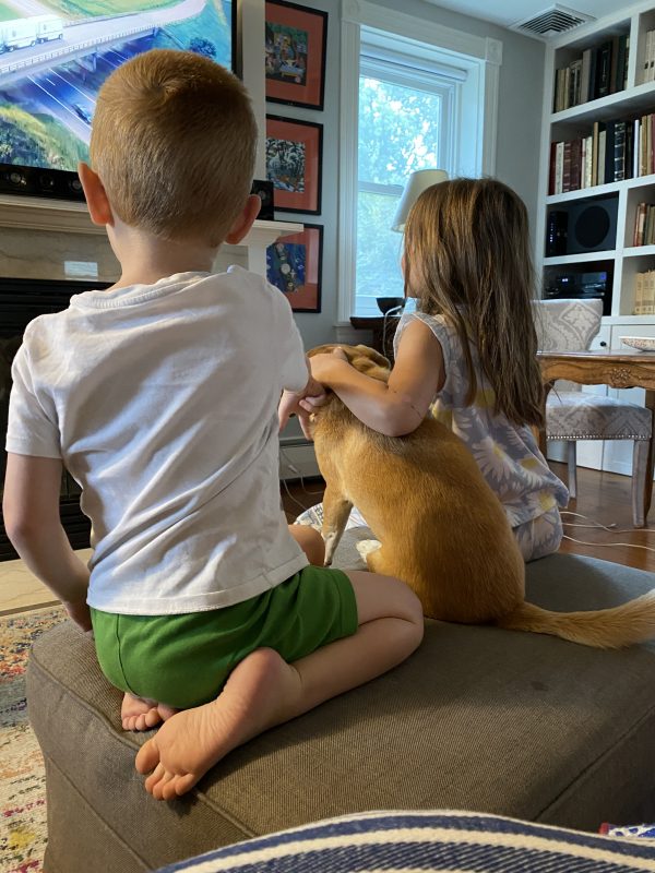 Peach and a few of her special friends cuddle and watch TV