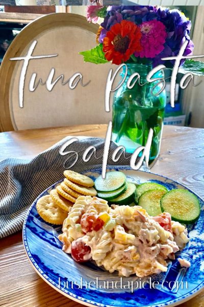 Tuna Pasta Salad served with cucumber slices and Rita crakers with zinnias in vlue Bell jar on the table