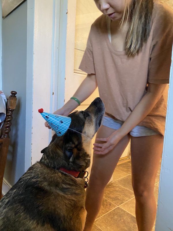 Amy putting party hat on Heniz