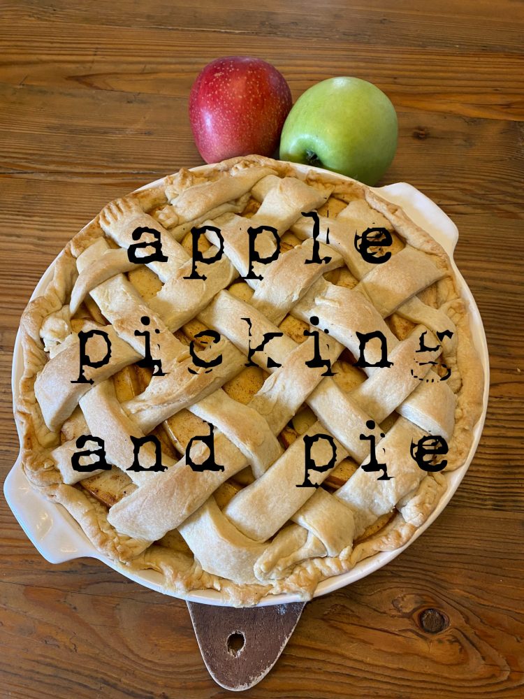 apple picking and pies