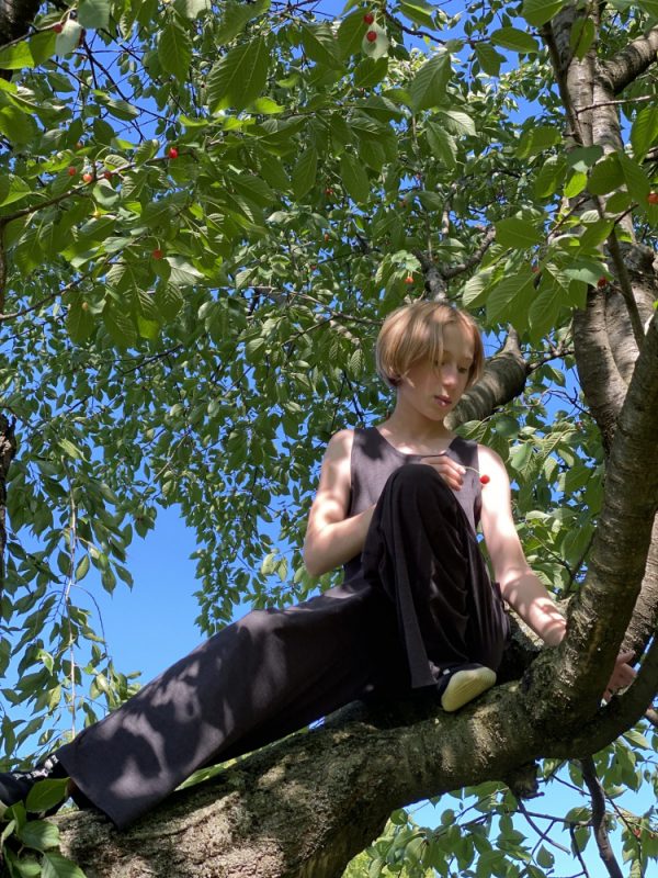 Red Ripe Cherries and a Great Climbing Tree