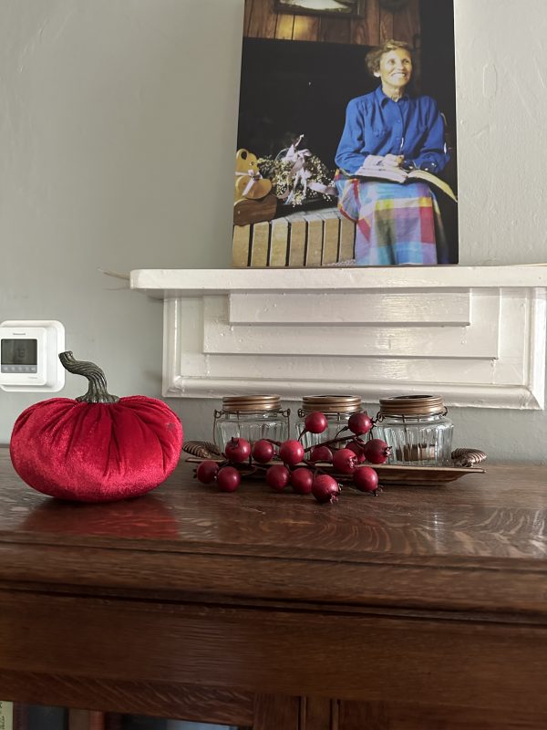 Bookcase Fall Decoration