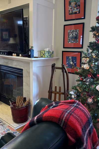 Two Trees in Living Room