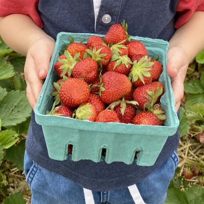 FOUR FAMILY FAVORITE RECIPES FOR SUMMER