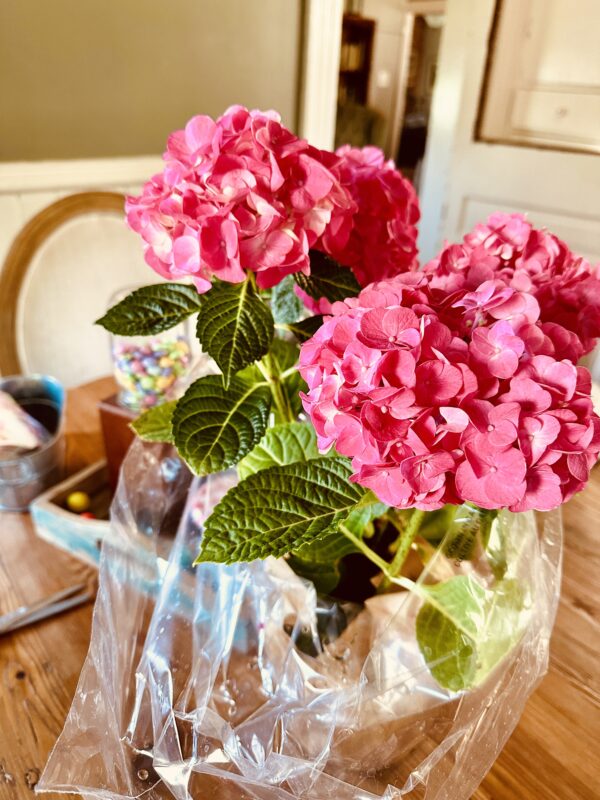 Hydrangea Mother's Day gift from Meg